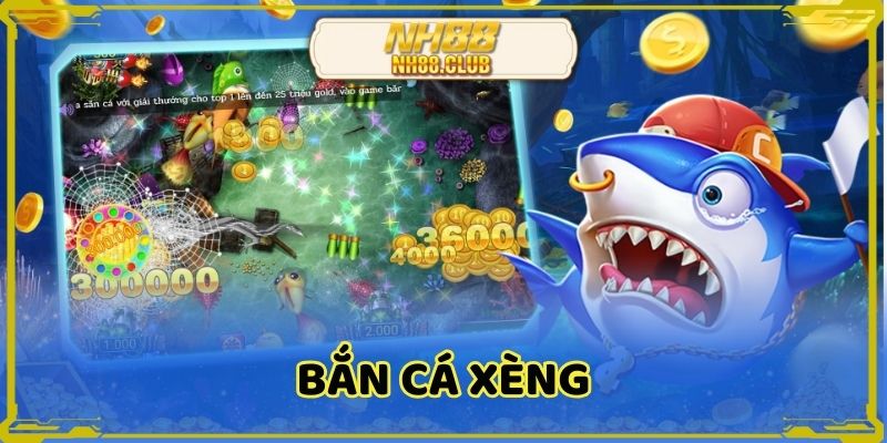 ban-ca-xeng